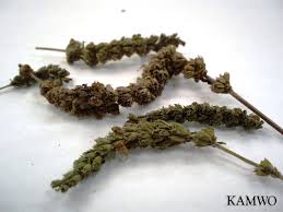 Herb Image