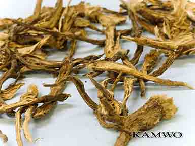herb